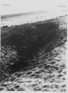 Screen Shot 2015-10-03 at 7.53.54 AM