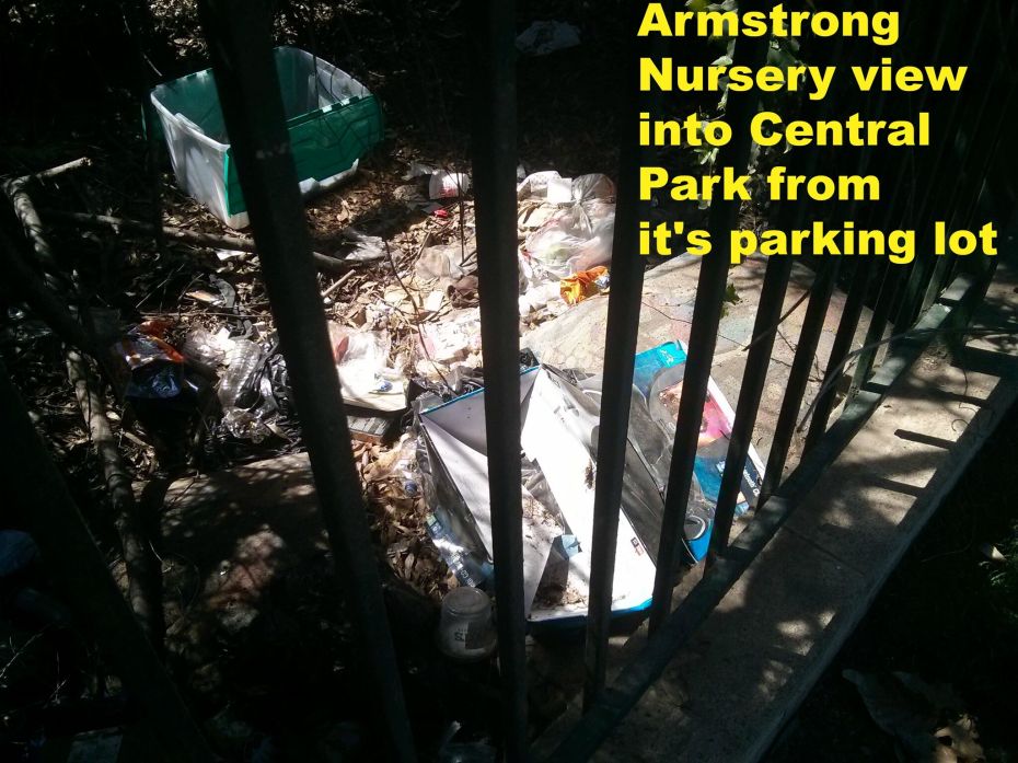 unspecified copy.jpeg