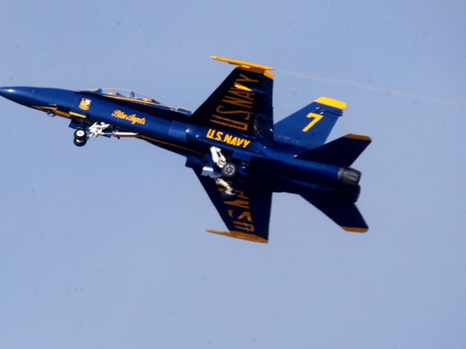 636005847110553116-05-Blue-Angel-leave.jpg